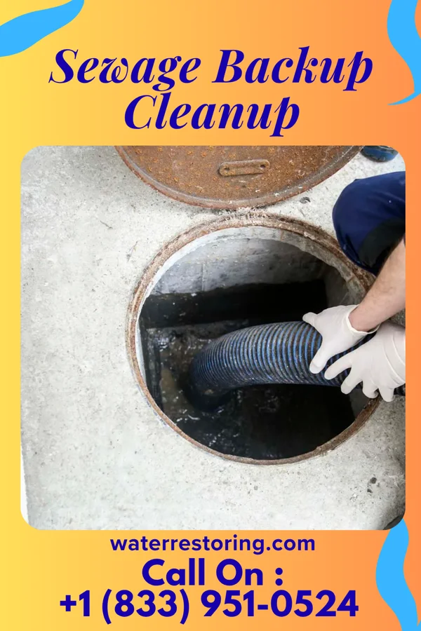 Sewage Backup Cleanup in East Quincy, CA